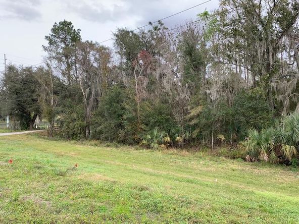 Saddle Creek Commons: 2300 US Highway 17 N, Bartow, FL 33830